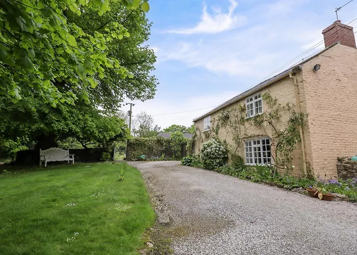 The Cottage